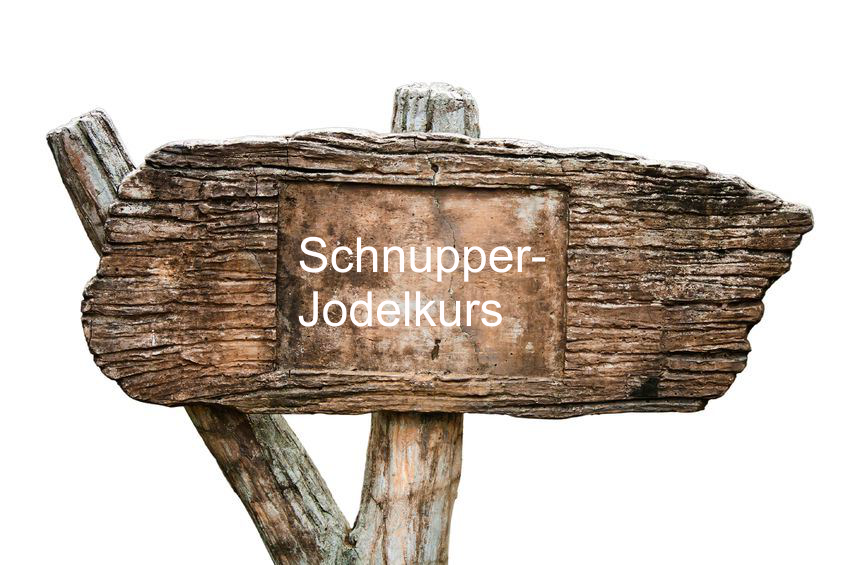 signpost crash
